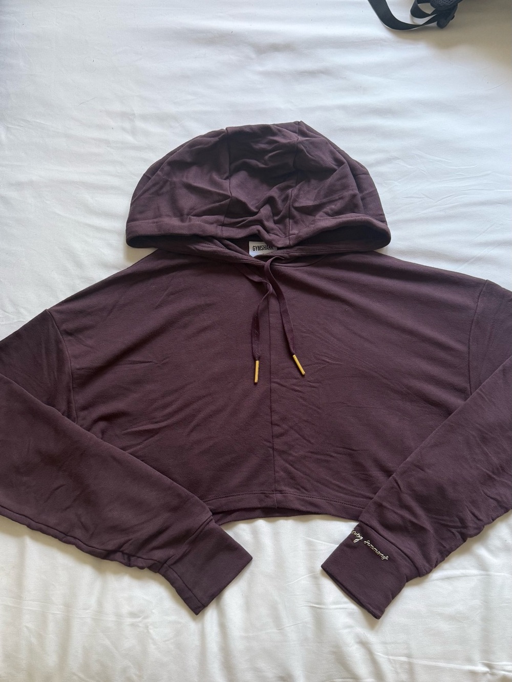 Whitney Simmons x Gymshark Chocolate Cropped Hoodie
